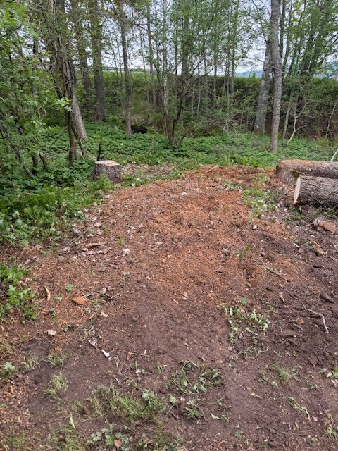 stubbfräsning karlstad